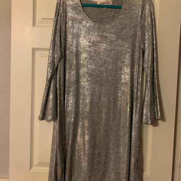 Dresses & Skirts - Silver Metallic Women's Dress